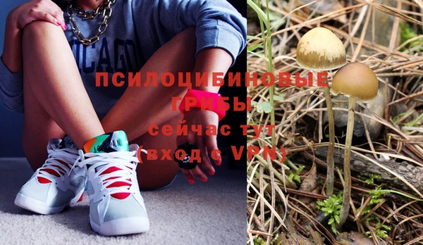 стафф Абдулино